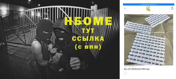 прущие грибы Беломорск