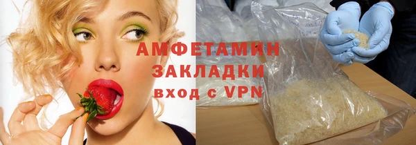 прущие грибы Беломорск