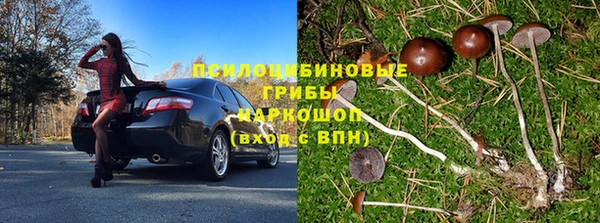 не бодяженный Белокуриха