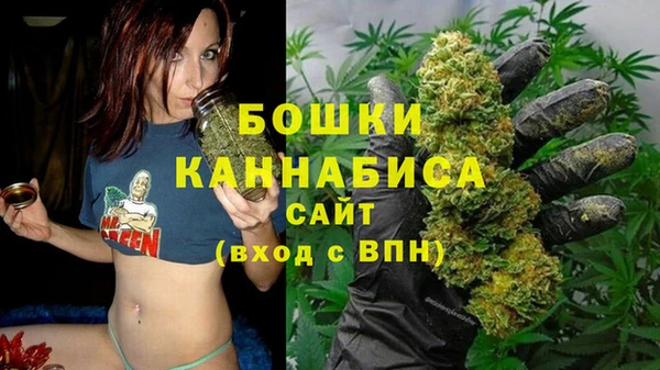 прущие грибы Беломорск