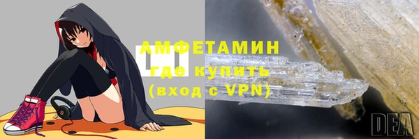прущие грибы Беломорск