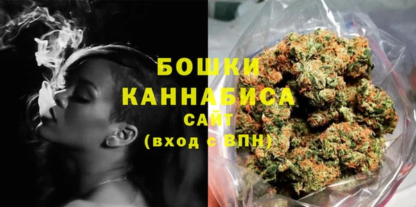 прущие грибы Беломорск