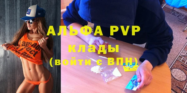 прущие грибы Беломорск