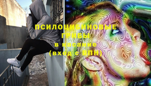 молекула духа Белоозёрский