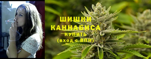 молекула духа Белоозёрский