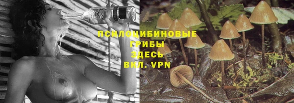 не бодяженный Белокуриха
