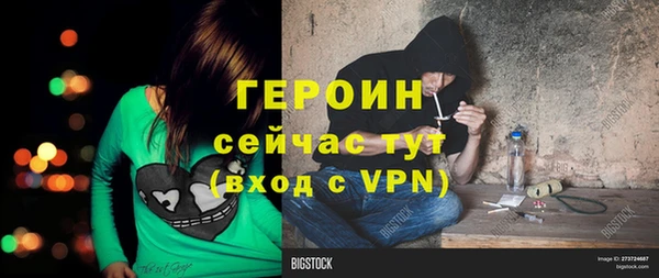 прущие грибы Беломорск