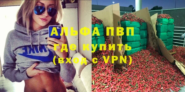 прущие грибы Беломорск