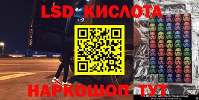 прущие грибы Кандалакша