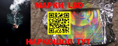 прущие грибы Кандалакша