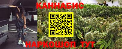 прущие грибы Кандалакша