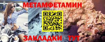 прущие грибы Кандалакша