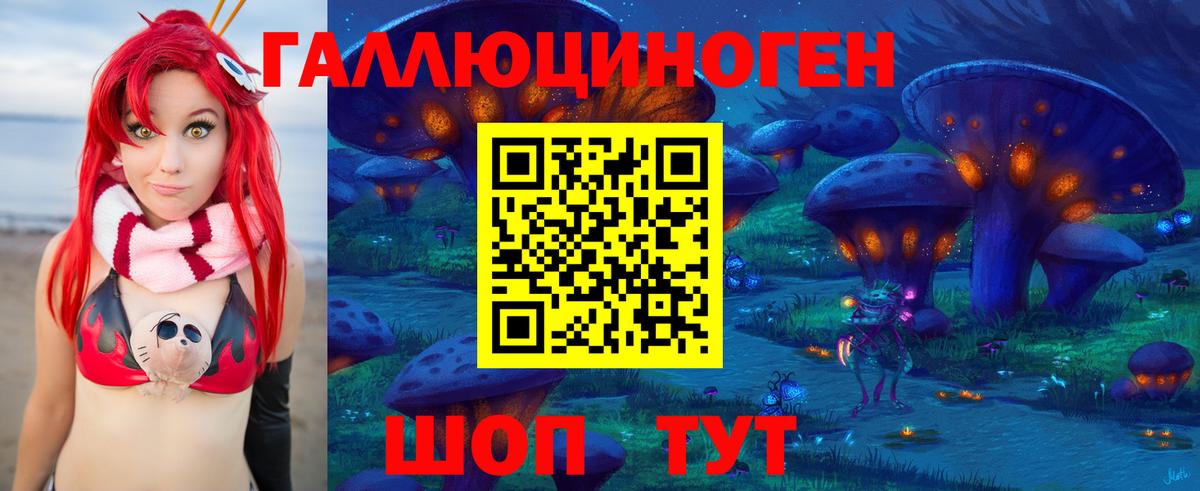 Псилоцибиновые грибы Psilocybe Пыть-Ях